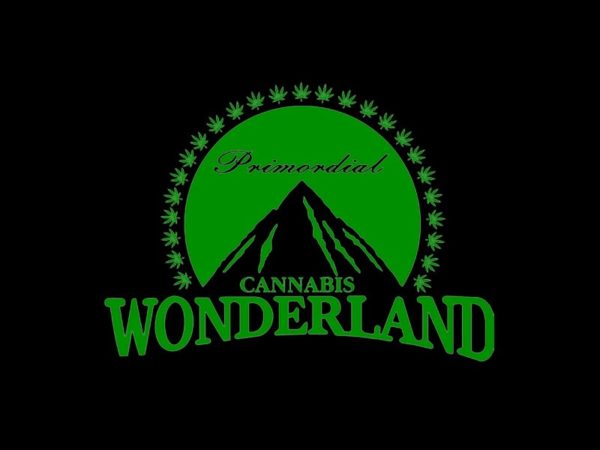 Paramount Wonderland Cannabis Black Tee-Shirt